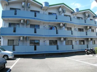 シェーンパラスト【1階】の外観