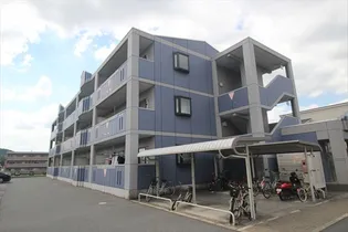 VIF CHARMANTの画像