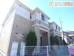 スプリングチェリー2の画像