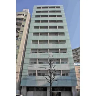 TIーKAWASAKIの画像