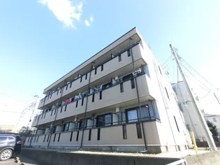 ハイドランジェの画像