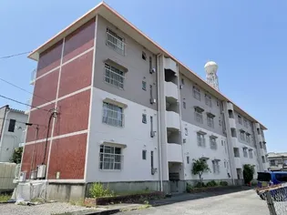 坪内ハイツの画像