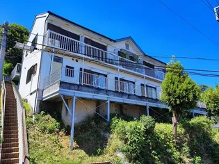 フラットピオニーの画像