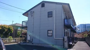 サンフラワーの画像