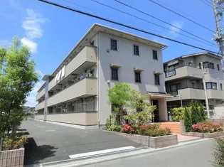 アクイユ ソレイユの画像