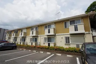 フィオレットの画像