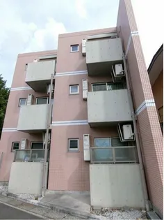 スプリングスの画像