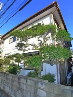 第3コスモハイムの画像