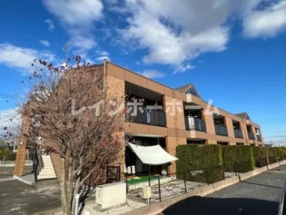 コンフォートの画像