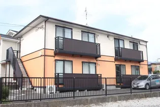 ソシアスズキの画像