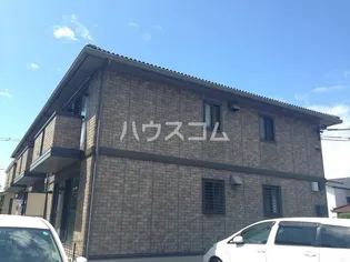 エバーグリーンの画像