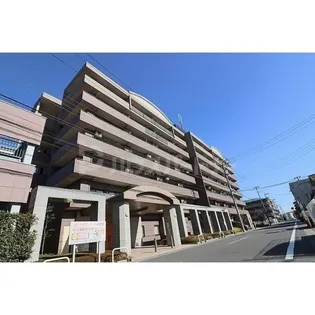 クリサンテーム妙典IIの画像