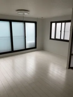 イワヤビルの画像