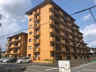 ぴあはくさんの画像