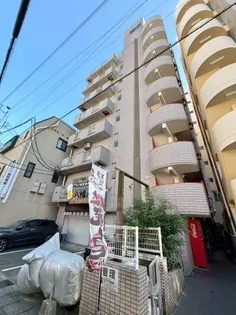 マリーロードの画像