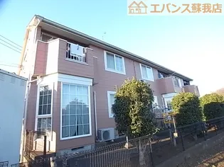 アバンサールの画像