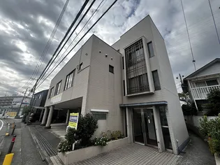 ミスノビルの画像