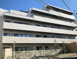 GRAZIA KAMATAの画像