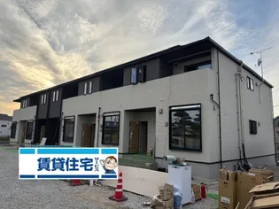 プリムローズの画像