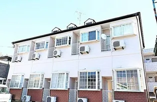 ホワイトローズの画像