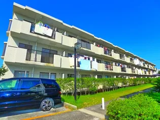 SUNCITY HIKOTA Cー1の画像