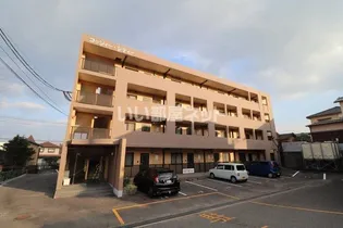 コゥジィー シティーの画像