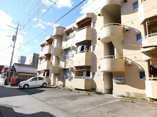 タウニイ3の画像