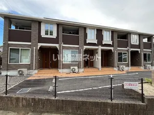 サニーブロッサムの画像