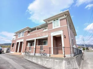 シャンティーの画像