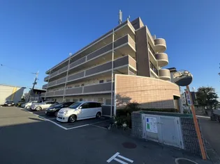 プラムディーセントの画像