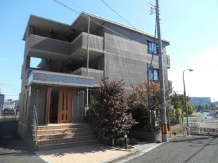 プチコンブリオの画像