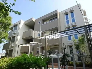 シーガルの画像