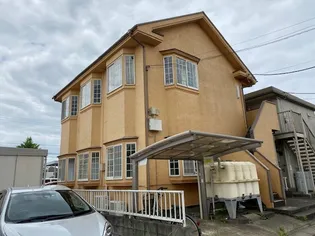 マリオン野原の画像