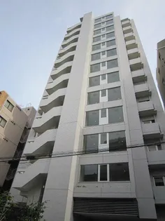 南麻布パークハイツ【11階】の外観