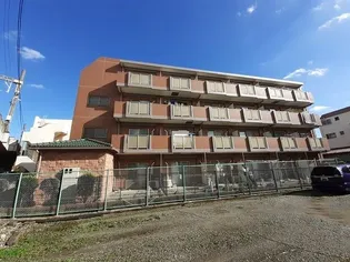 第2和光ヒルズ【1階】の外観