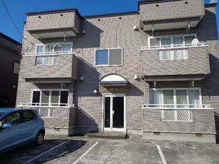 ひまわりの画像