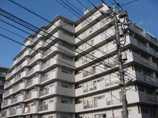 埼玉県さいたま市浦和区仲町3【マンション】の外観