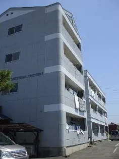 ヨーロピアンタキセイⅡの画像