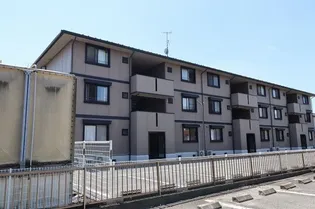 シャネルI&Sの画像