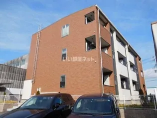 クリサンセマムの画像