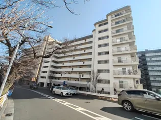 美しが丘ルピナスの画像