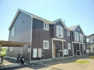 ベルメゾンCの画像