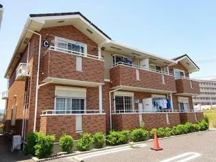 サン フィット1の画像