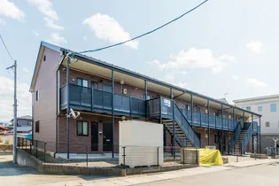 アムールしらぎくの画像