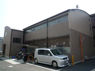 ガーベラの画像
