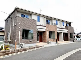 デイジーの画像