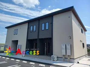シャイニー今川Bの画像