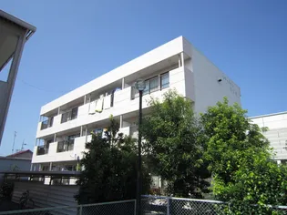 シティハイツむつな【2階】の外観