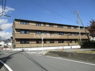 オレンジコートの画像