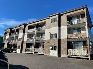 Mハイツ寿7の画像